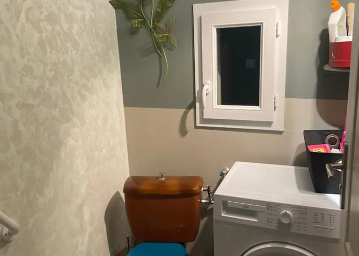 De Lasbareilles Narcastet