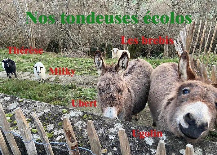 Сasa de vacaciones De Lasbareilles Narcastet